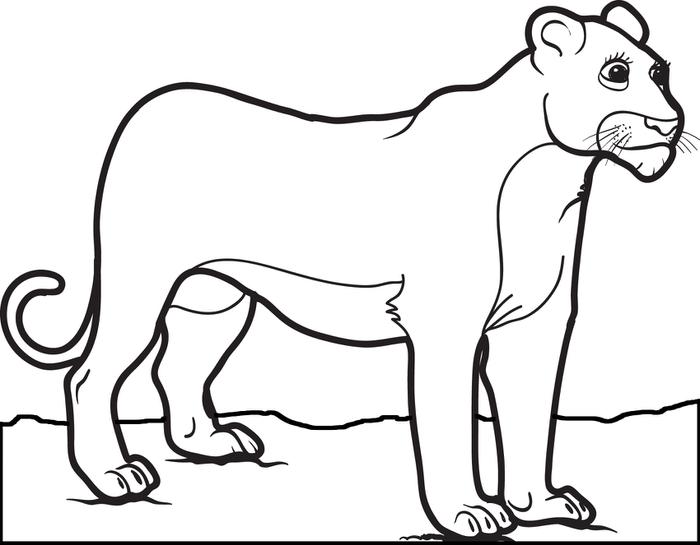 Lioness coloring #4, Download drawings