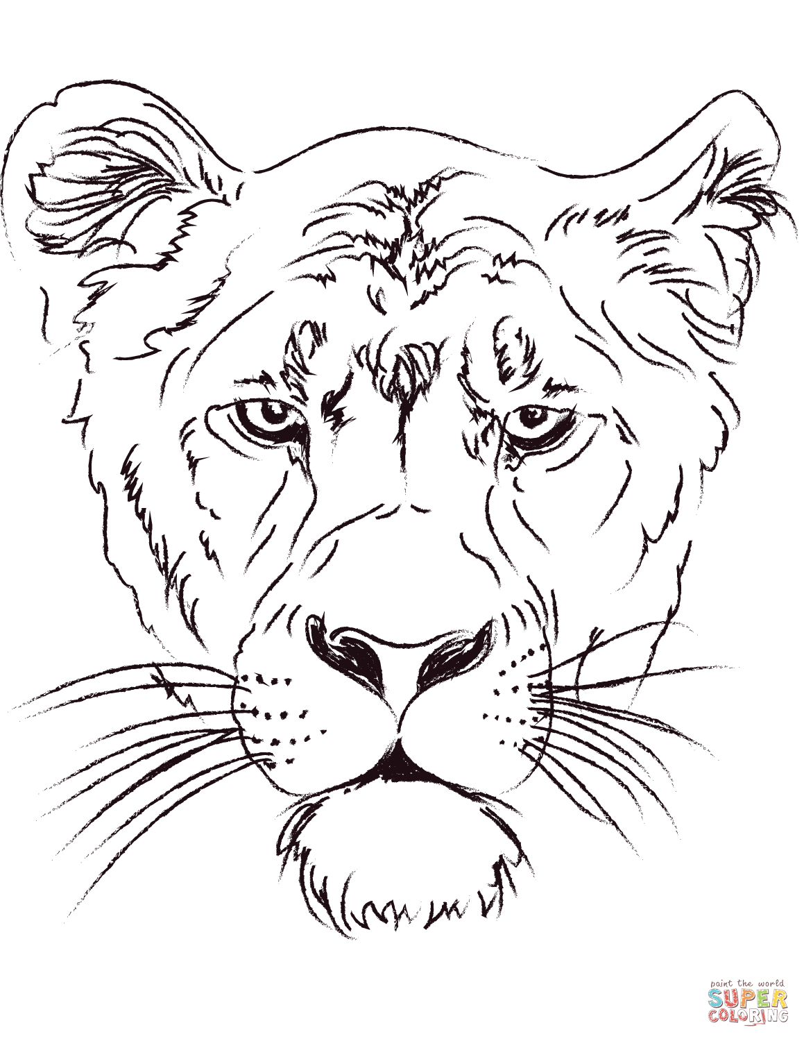 Lioness coloring #2, Download drawings