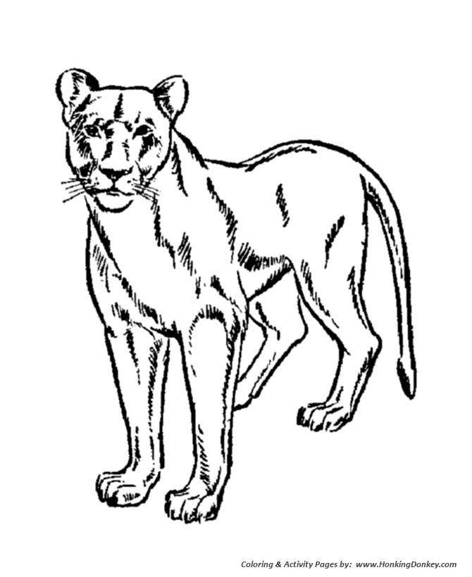 Lioness coloring #17, Download drawings
