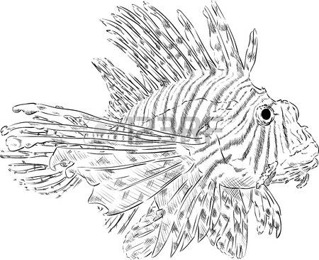 Lionfish coloring #8, Download drawings