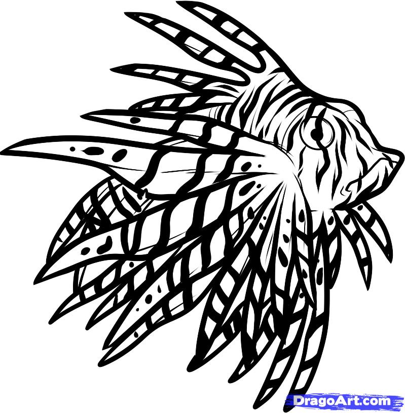 Lionfish coloring #2, Download drawings