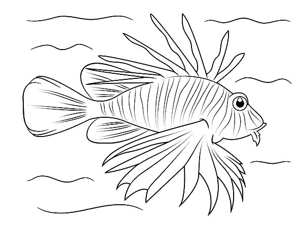 Lionfish coloring #19, Download drawings