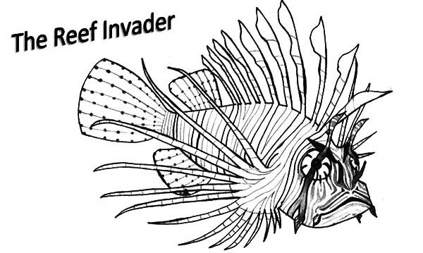 Lionfish coloring #17, Download drawings