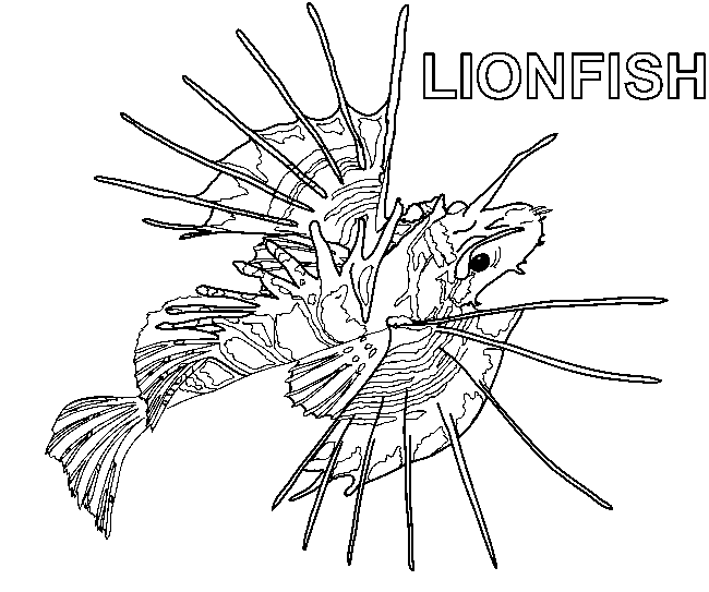 Lionfish coloring #12, Download drawings