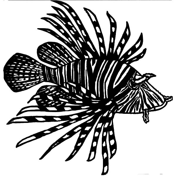 Lionfish coloring #15, Download drawings