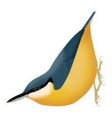 Nuthatch svg #19, Download drawings