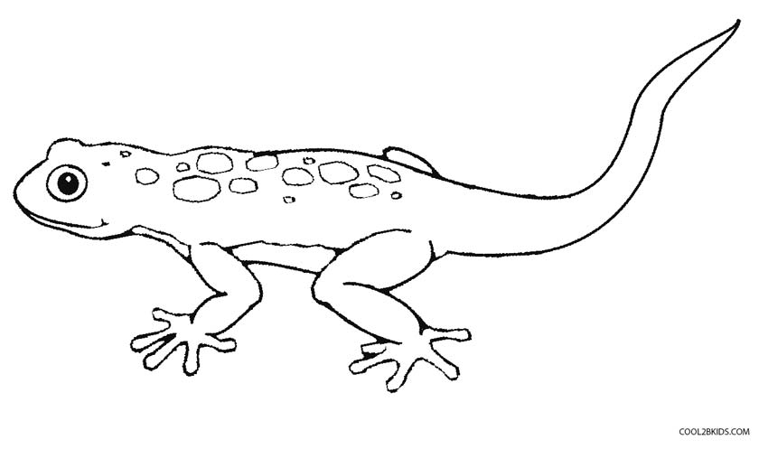 Lizard coloring #16, Download drawings