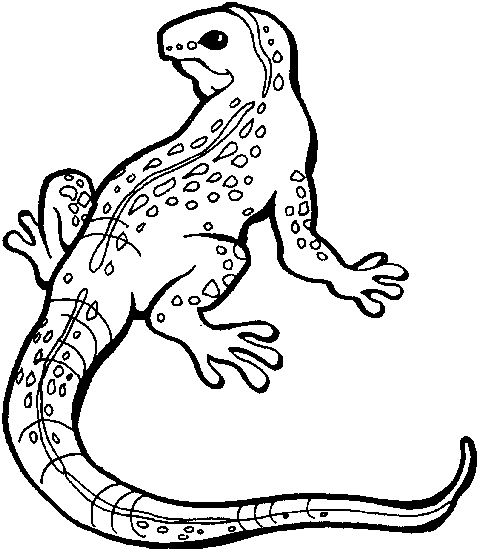 Lizard coloring #4, Download drawings