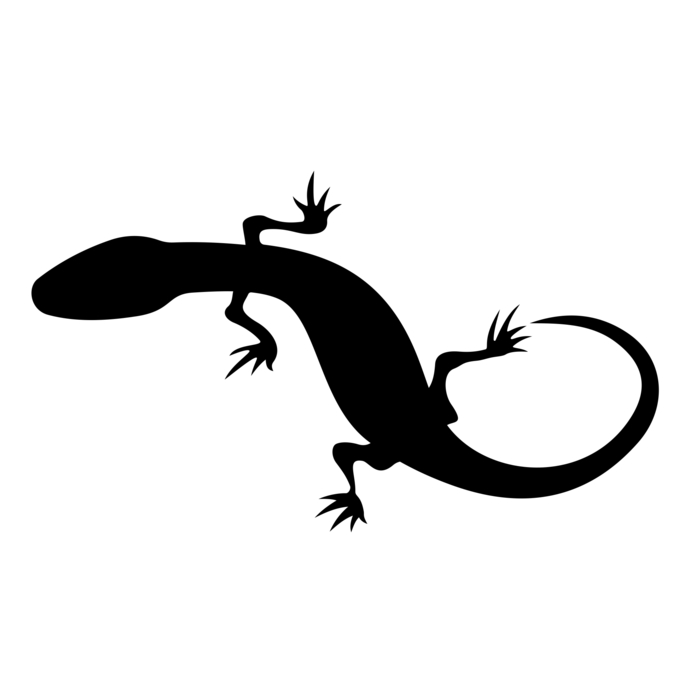 Lizard svg #19, Download drawings