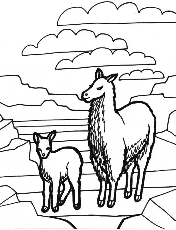Llama coloring #10, Download drawings