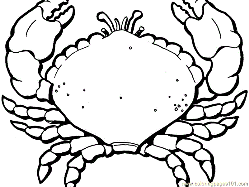 Lobster coloring #12, Download drawings
