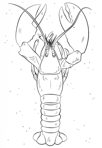 Lobster coloring #3, Download drawings