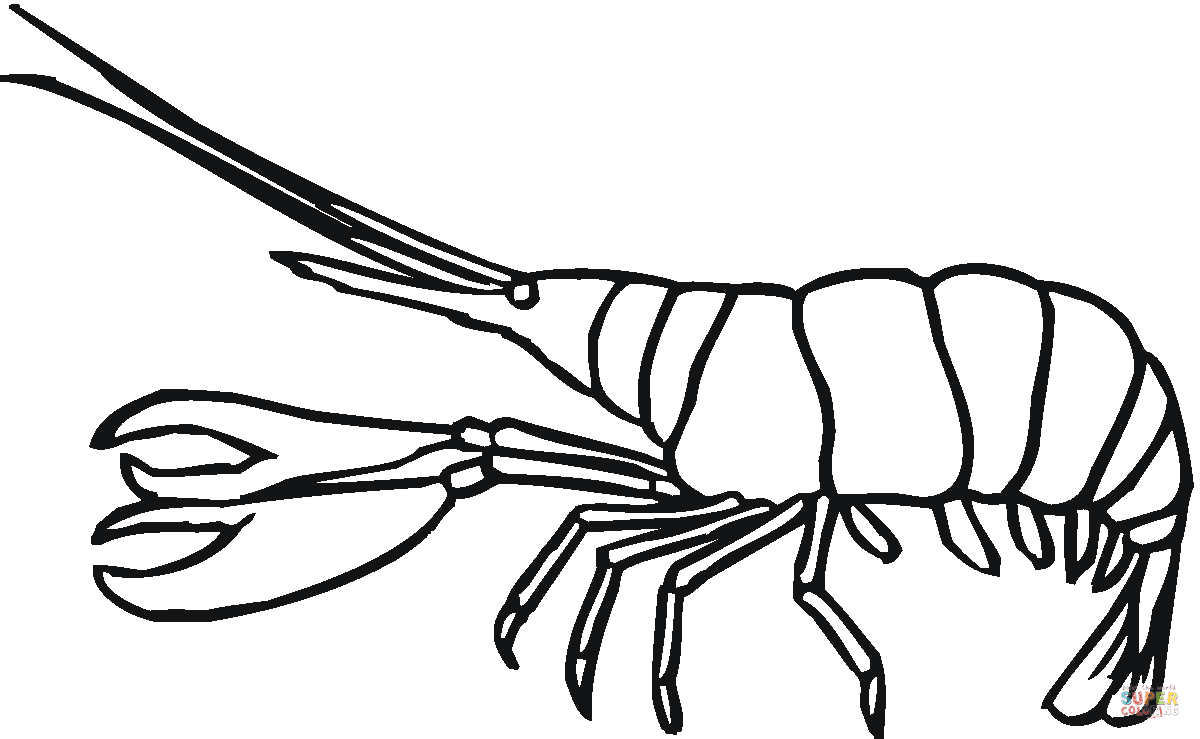 Lobster coloring #2, Download drawings