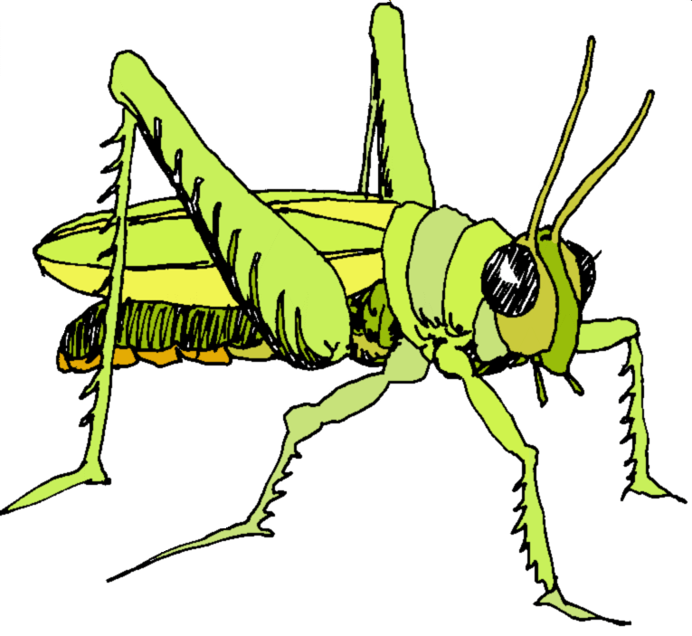 Locust clipart #19, Download drawings