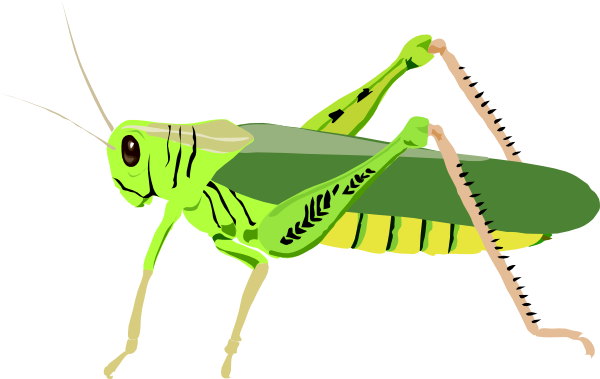 Locust clipart #18, Download drawings