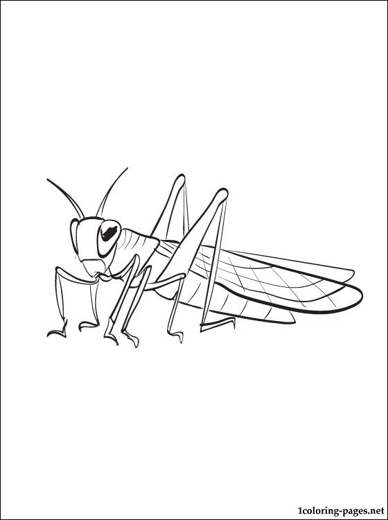 Locust coloring #18, Download drawings