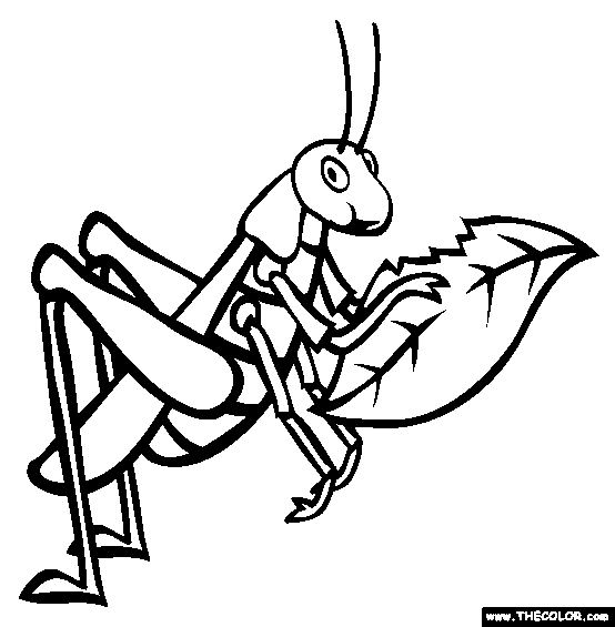 Locust coloring #1, Download drawings