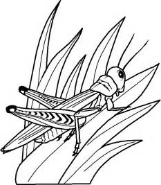 Locust coloring #3, Download drawings