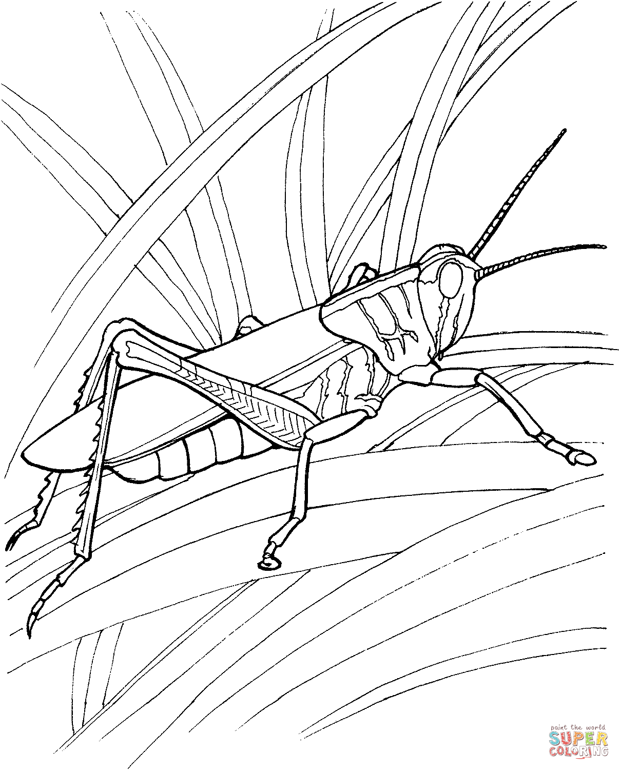 Locust coloring #9, Download drawings