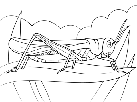 Locust coloring #2, Download drawings