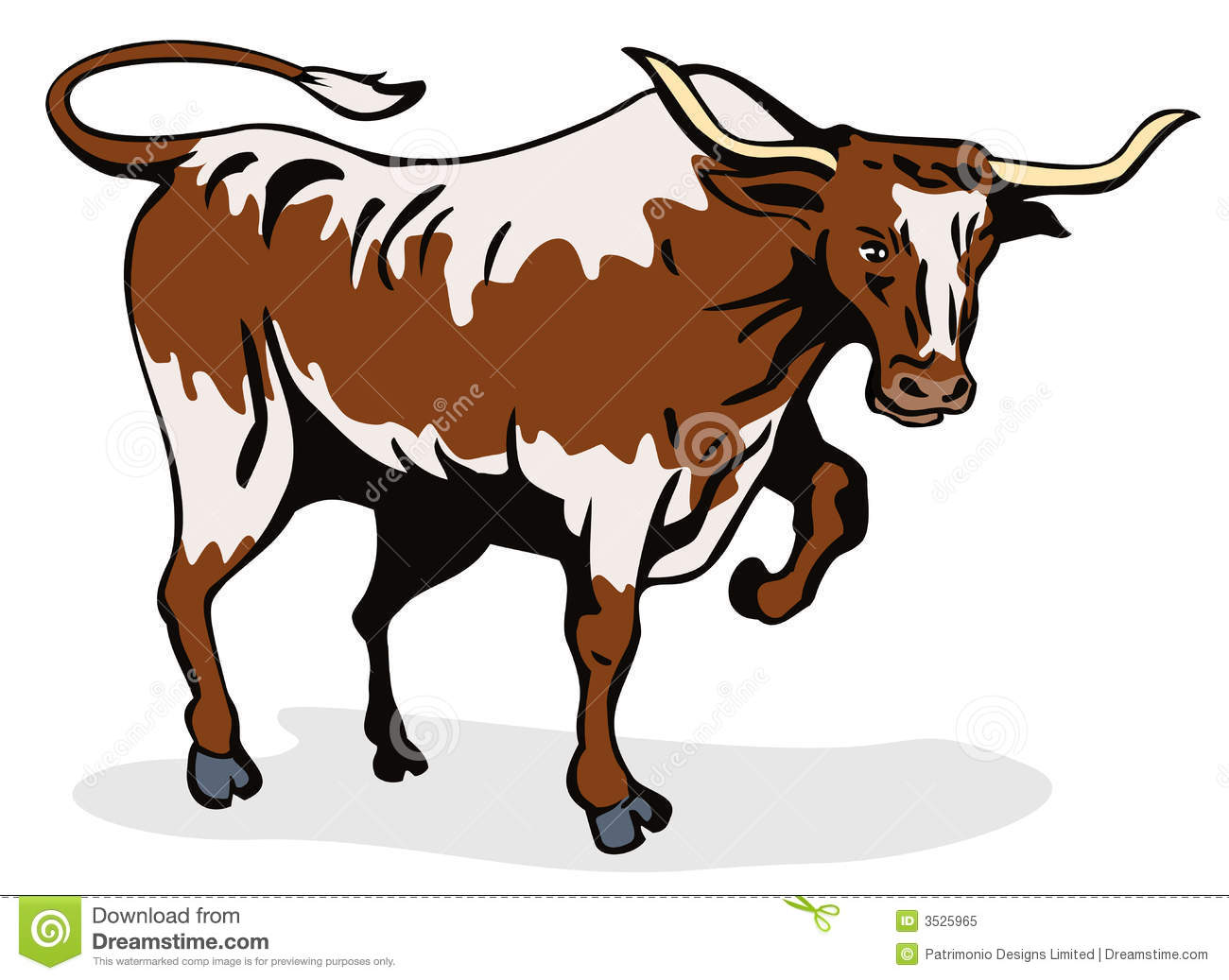Longhorn Cattle clipart #19, Download drawings