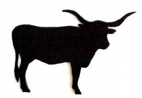 Longhorn Cattle clipart #11, Download drawings