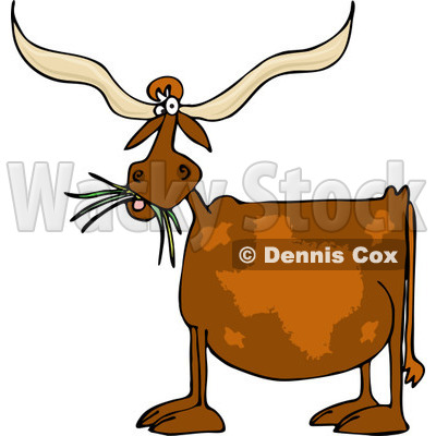 Longhorn Cattle clipart #8, Download drawings