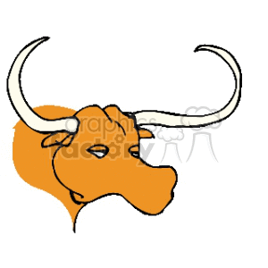 Longhorn Cattle clipart #5, Download drawings