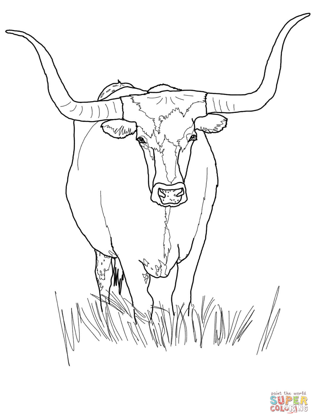 Longhorn Cattle coloring #15, Download drawings