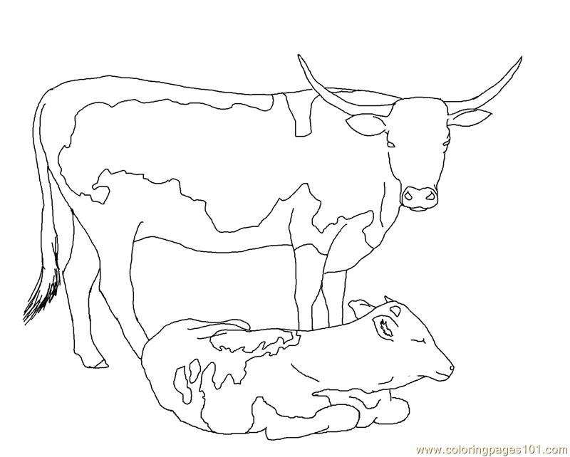 Longhorn Cattle coloring #17, Download drawings