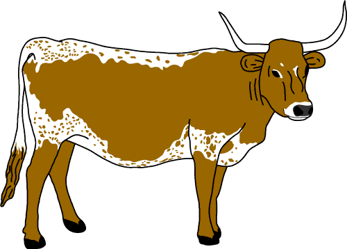 Longhorn Cattle coloring #7, Download drawings