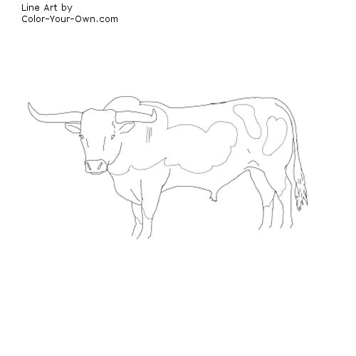 Longhorn Cattle coloring #18, Download drawings