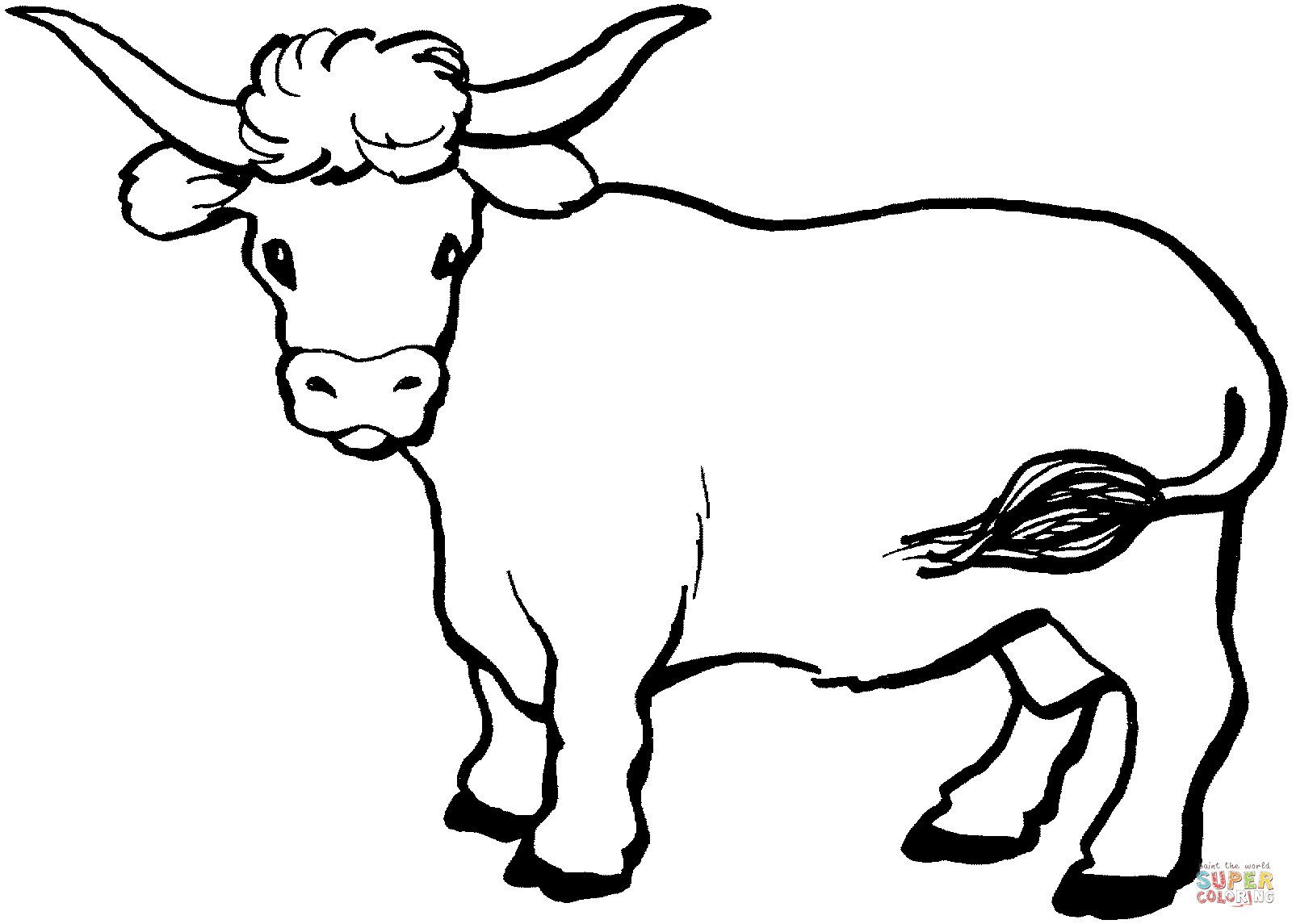 Longhorn Cattle coloring #5, Download drawings