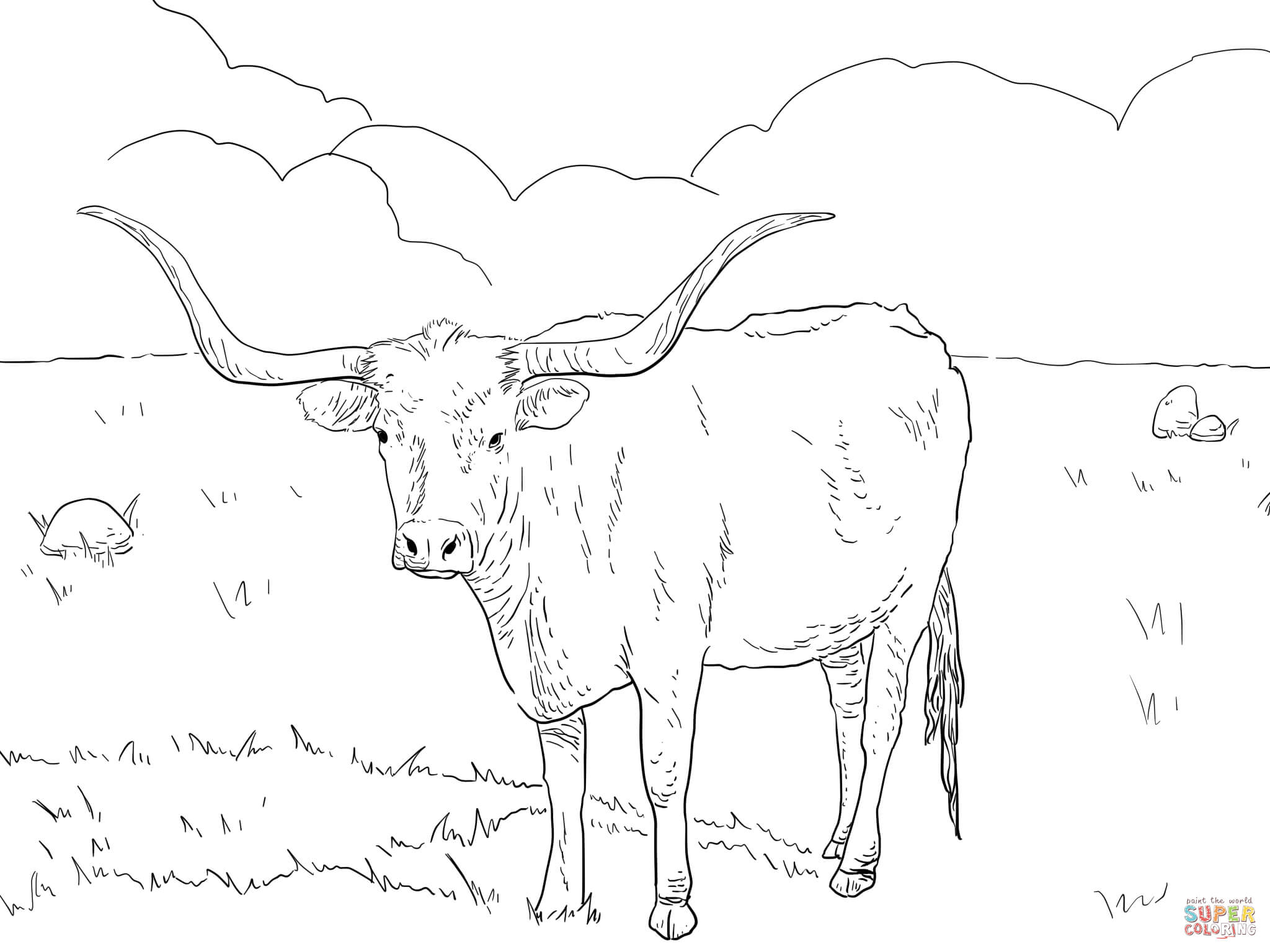 Longhorn Cattle coloring #10, Download drawings