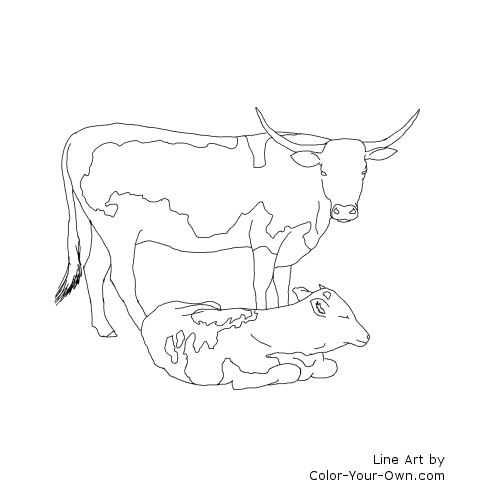 Longhorn Cattle coloring #1, Download drawings