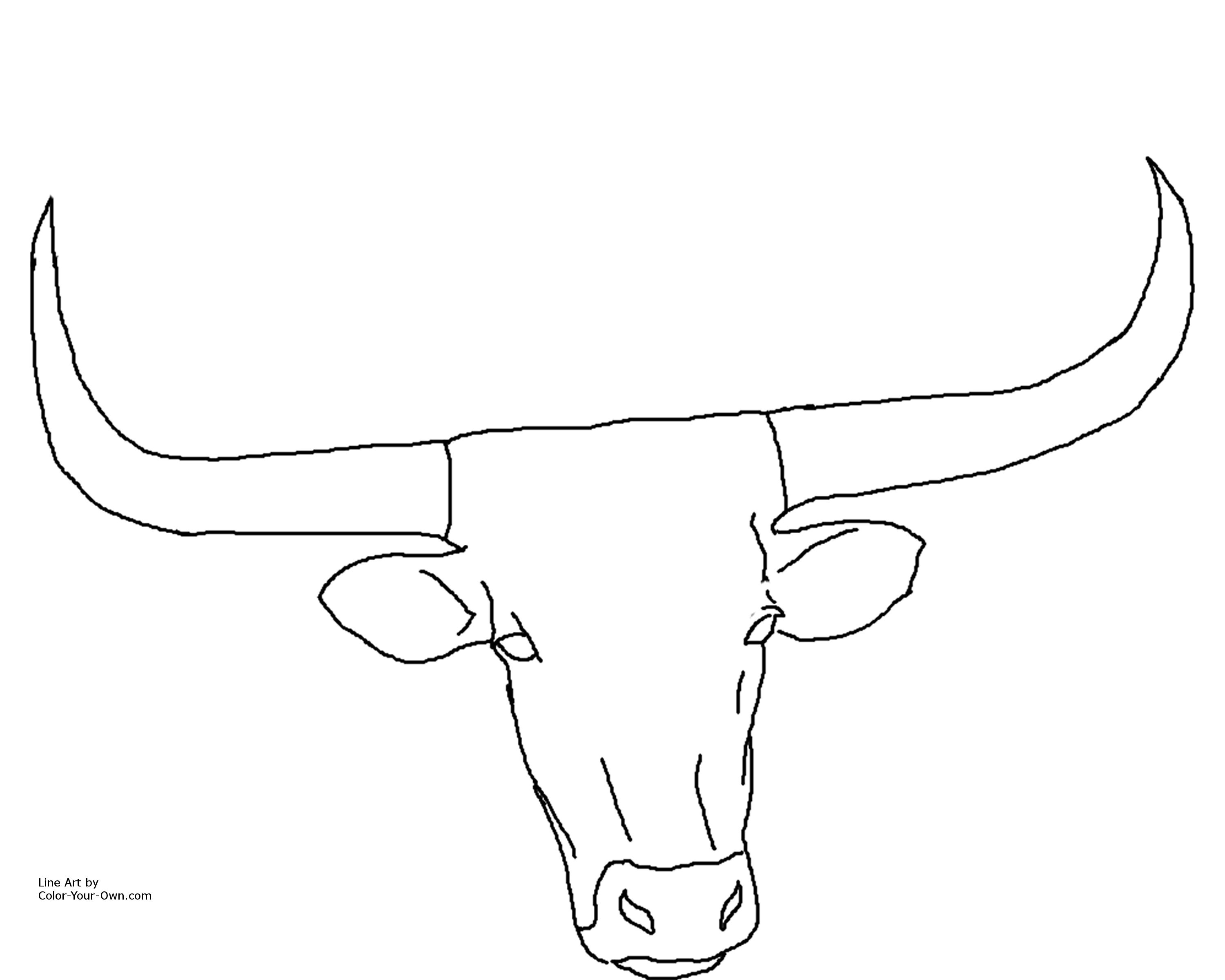Longhorn Cattle coloring #12, Download drawings