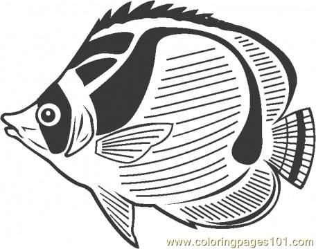 Longhorn Cowfish coloring #6, Download drawings