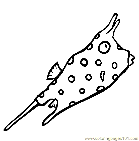 Longhorn Cowfish coloring #20, Download drawings