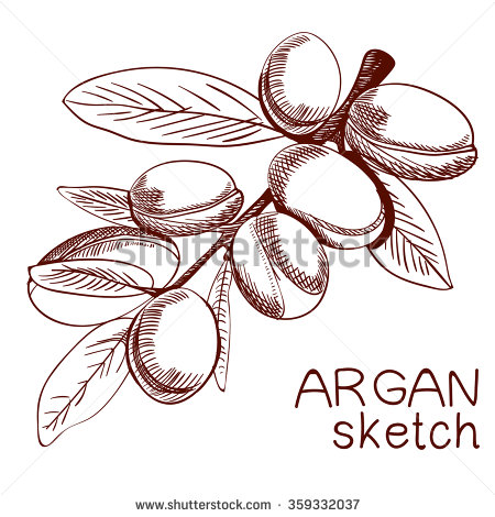 Loquat Berries coloring #11, Download drawings