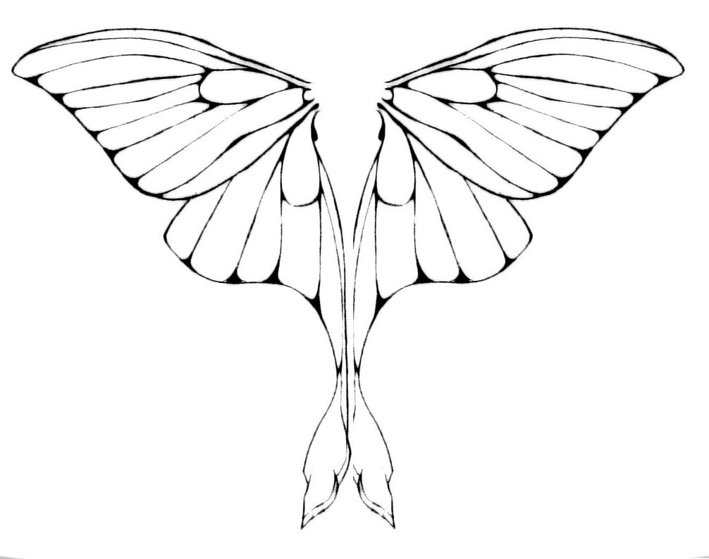 Luna Moth coloring #3, Download drawings