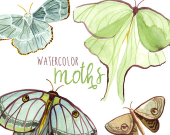 Luna Moth svg #14, Download drawings