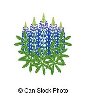 Lupine clipart #17, Download drawings