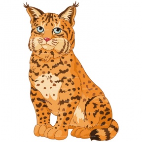 Lynx clipart #6, Download drawings