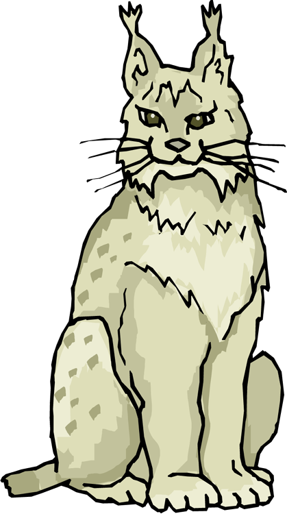 Lynx clipart #1, Download drawings