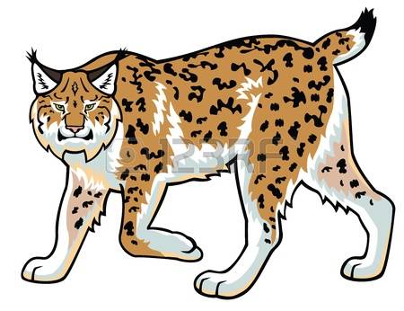 Lynx clipart #6, Download drawings