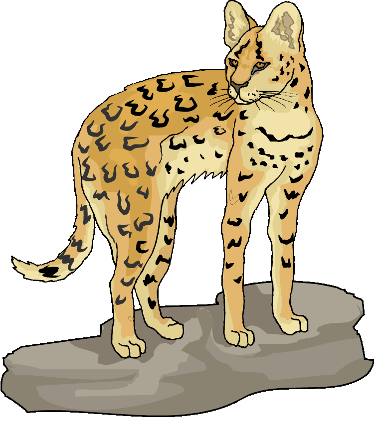 Lynx clipart #4, Download drawings