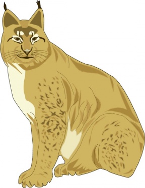 Lynx clipart #13, Download drawings