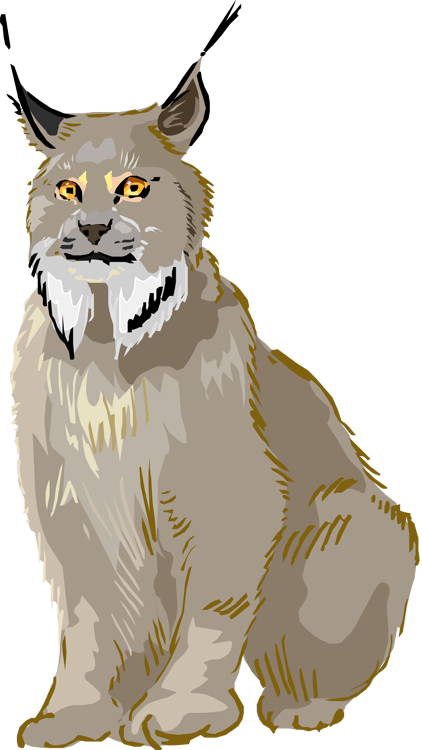 Lynx clipart #19, Download drawings