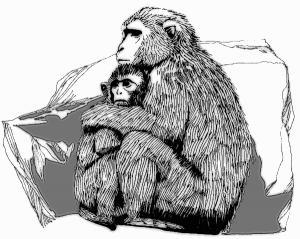 Macaque clipart #3, Download drawings
