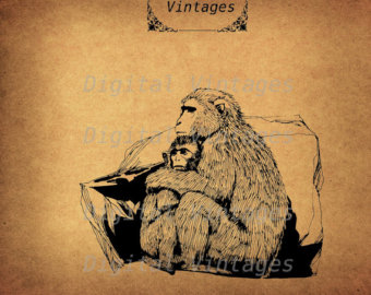 Macaque svg #14, Download drawings